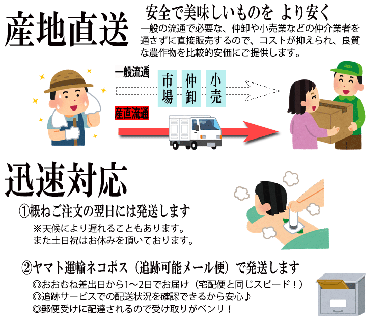 びわの葉エキス 100ml ♪ 国産無農薬葉使用・びわ農家お手製わが家の常備薬！