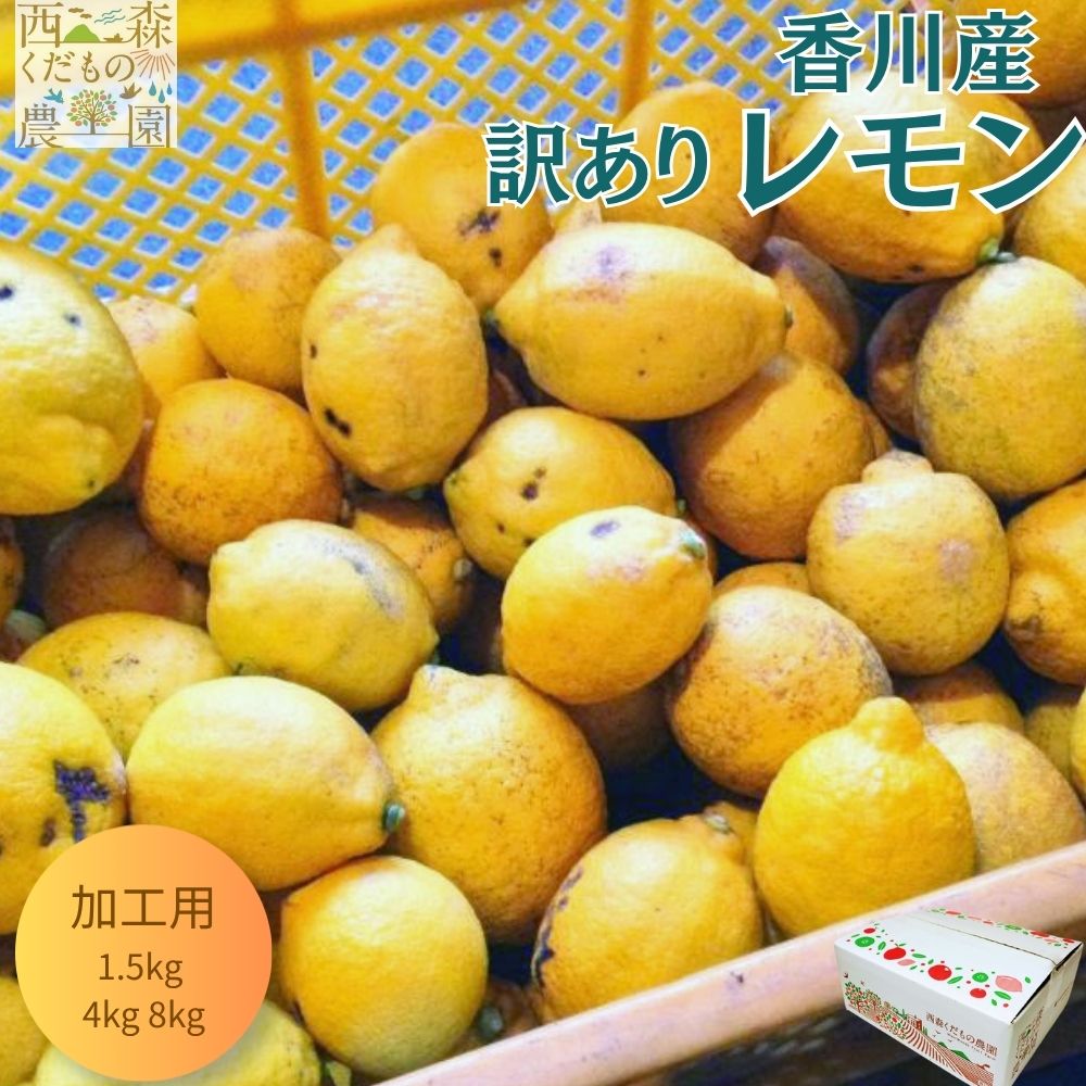 訳ありレモン 1.5kg 4kg 8kg 香川産 国産レモン 瀬戸内産 【送料無料】 ノーワックス 防腐剤不使用 皮まで安心 生レモン 早期発送 檸檬 果物 フルーツ 果汁 レモネード