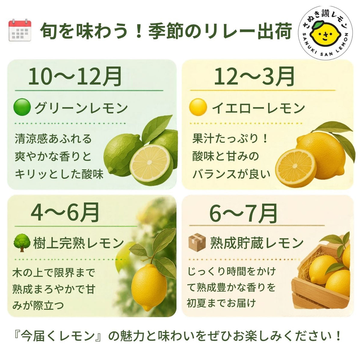 さぬき讃レモン 1.5kg 4kg 8kg 香川産 国産レモン 瀬戸内産 【送料無料】 ノーワックス 防腐剤不使用 皮まで安心 生レモン 早期発送 檸檬 果物 フルーツ 果汁 レモネード
