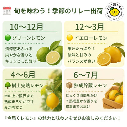 さぬき讃レモン 1.5kg 4kg 8kg 香川産 国産レモン 瀬戸内産 【送料無料】 ノーワックス 防腐剤不使用 皮まで安心 生レモン 早期発送 檸檬 果物 フルーツ 果汁 レモネード