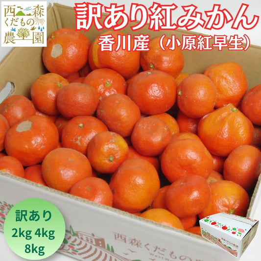 【予約／12月発送】香川産 訳あり紅みかん（ 小原紅早生 ）2kg 4kg 8kg ご家庭用に♪［西森くだもの農園］ 温州みかん フルーツ 果物 送料無料