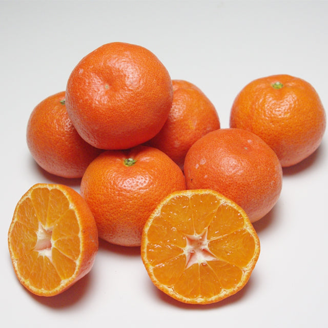 【予約／12月発送】香川産 小玉紅みかん（ 小原紅早生 ）2kg 4kg 8kg贈答用 ギフト お歳暮 に♪［西森くだもの農園］温州みかん フルーツ 果物 送料無料