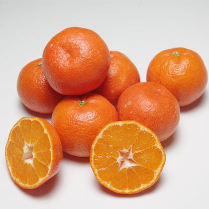 【予約／12月発送】香川産 小玉紅みかん（ 小原紅早生 ）2kg 4kg 8kg贈答用 ギフト お歳暮 に♪［西森くだもの農園］温州みかん フルーツ 果物 送料無料