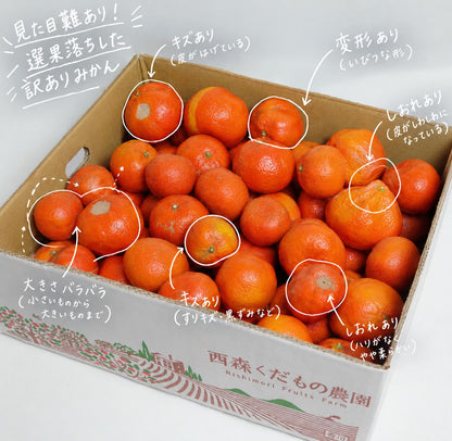 【予約／12月発送】香川産 訳あり紅みかん（ 小原紅早生 ）2kg 4kg 8kg ご家庭用に♪［西森くだもの農園］ 温州みかん フルーツ 果物 送料無料