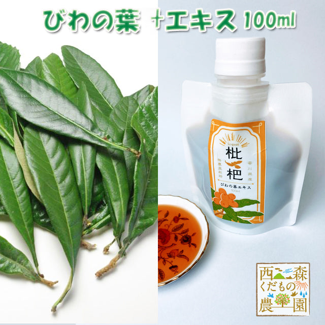 香川産 びわの葉 100ｇ（1袋 生葉15-25枚）♪