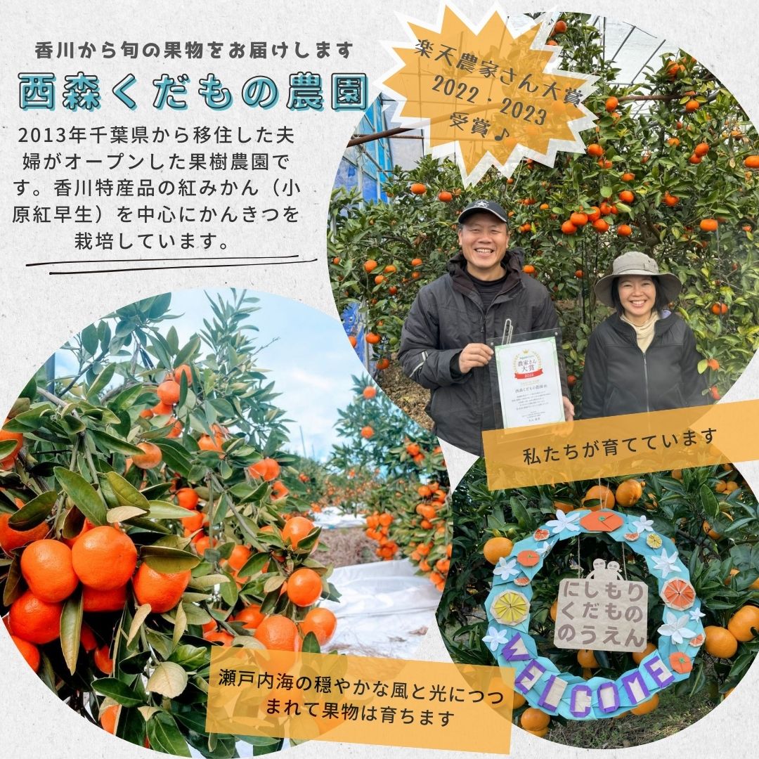びわの葉エキス 100ml ♪ 国産無農薬葉使用・びわ農家お手製わが家の常備薬！