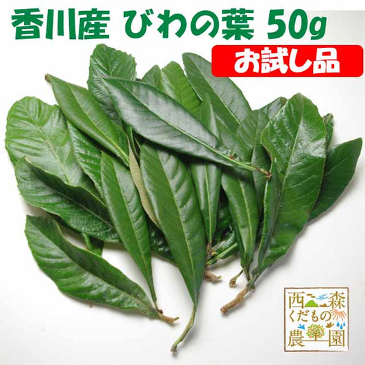 香川産 びわの葉【お試し品】（1袋50g 生葉約10枚）♪